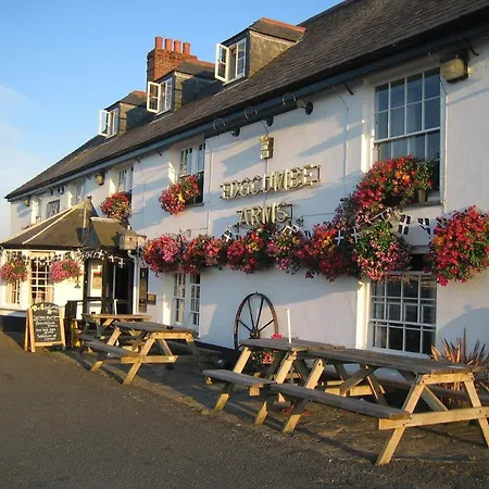 B&B The Edgcumbe Arms 토포인트